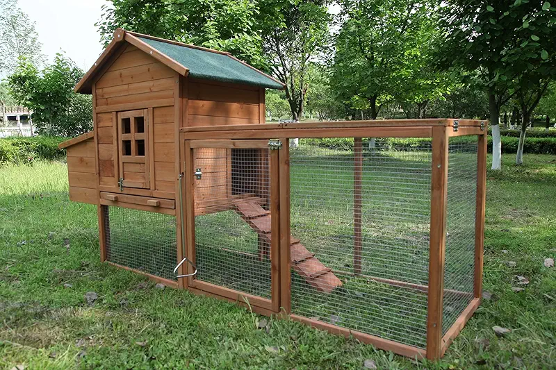 Chicken coop discount